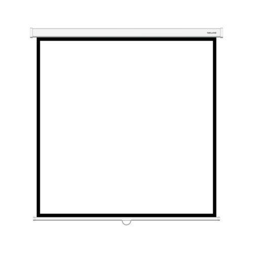 Экран Deluxe DLS-M305W (120"х120"), Ø - 170", Раб. поверхность 297х297 см., 1:1