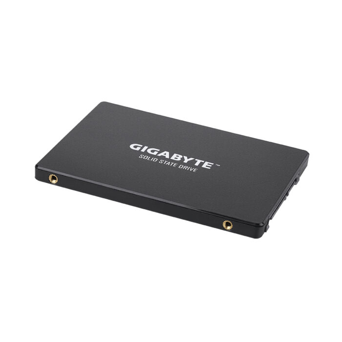 Твердотельный накопитель внутренний Gigabyte GSTFS31256GTND — изображение 2