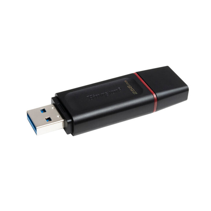 USB-накопитель Kingston DTX/256GB 256GB Чёрный — изображение 2