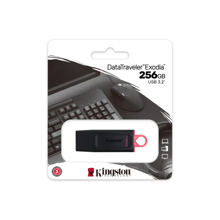 USB-накопитель Kingston DTX/256GB 256GB Чёрный — изображение 3