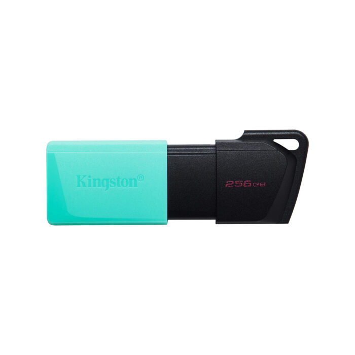 USB-накопитель Kingston DTXM/256GB 256GB Бирюзовый — изображение 2