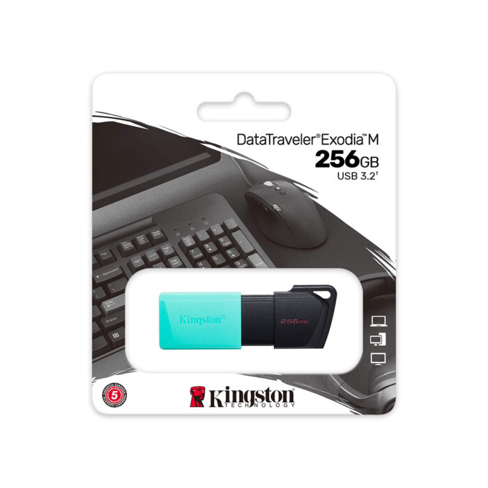USB-накопитель Kingston DTXM/256GB 256GB Бирюзовый — изображение 3