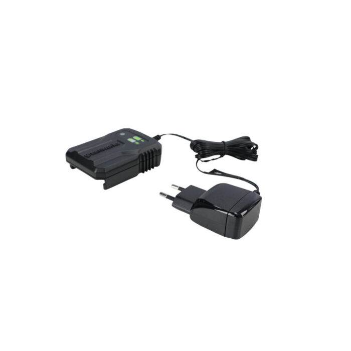 Зарядное устройство Greenworks G24UC2 24V 2А — изображение 3