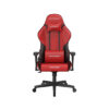 Игровое компьютерное кресло DX Racer Prince GC/LPF24LTC/RN