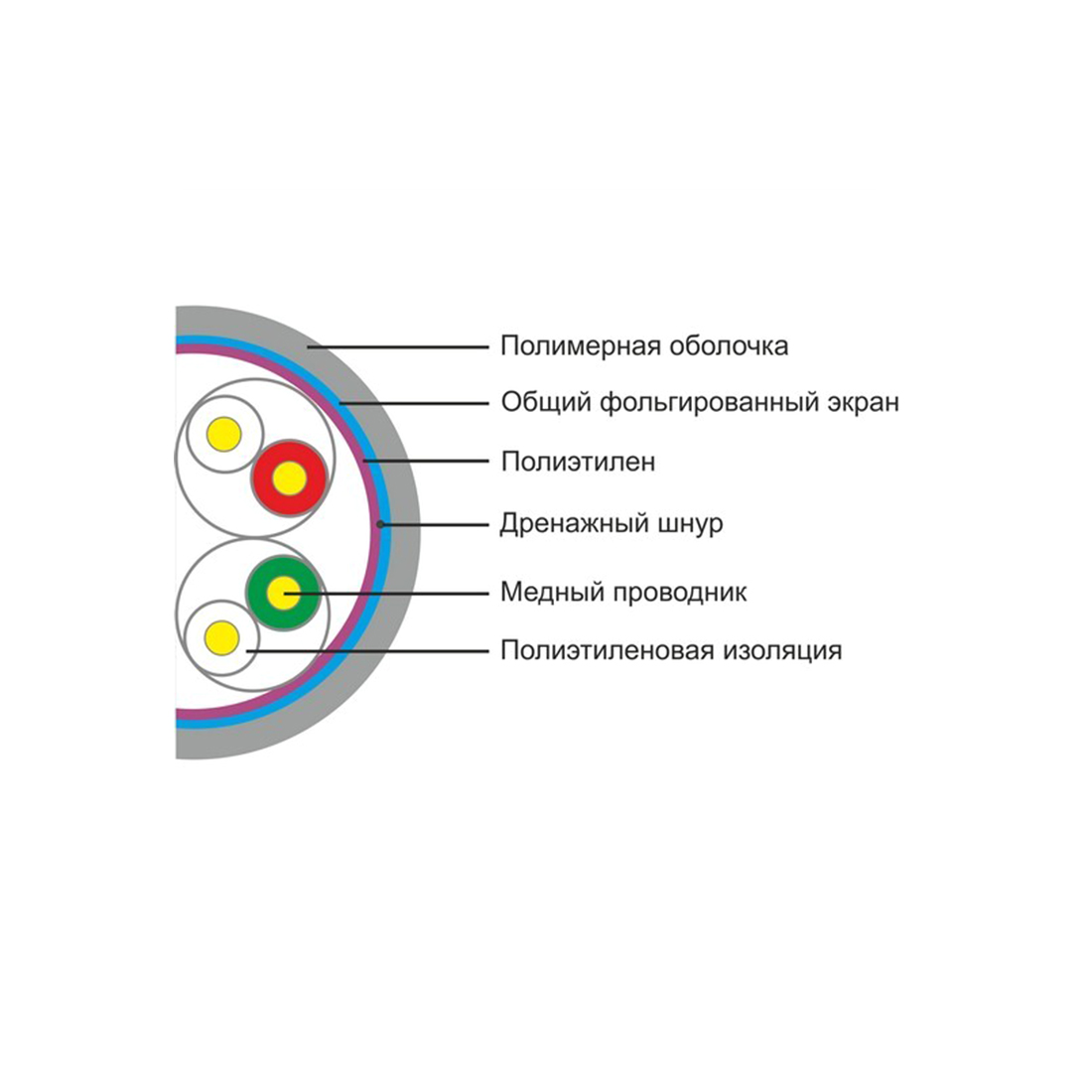 Кабель сетевой SHIP D145-P Cat.5e FTP 30В PVC — изображение 2