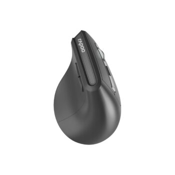 Компьютерная мышь Rapoo EV310M